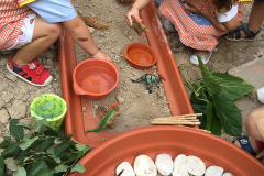 escuela-infantil-mar-de-soles-escuela-de-verano-6