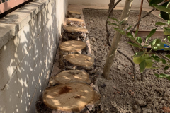Asientos naturales de troncos de palmera de la Escuela Infantil Mar de Soles