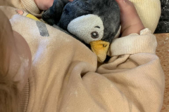 Jugando con peluches y harina en la Escuela Infantil Mar de Soles