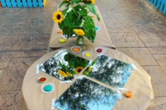 Pinturas en la Escuela Infantil Mar de Soles